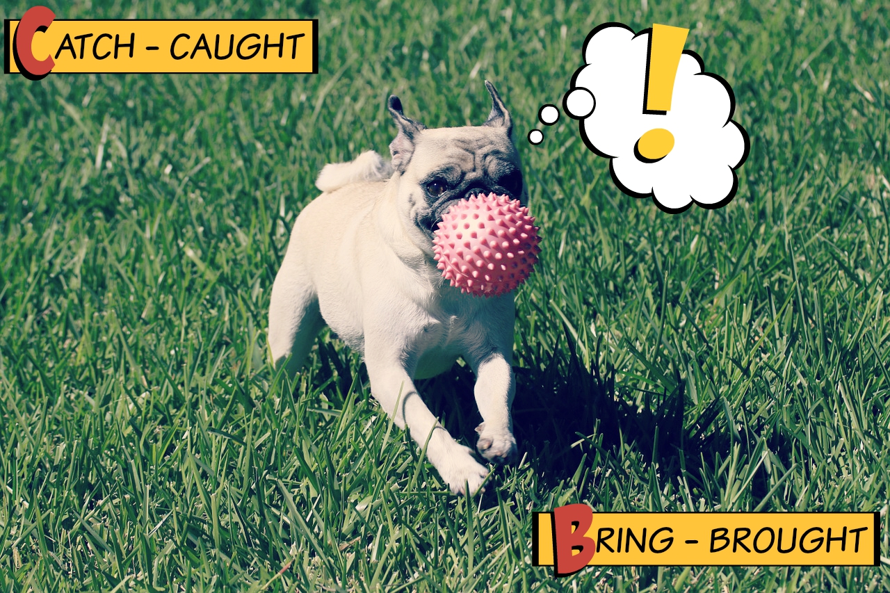 Irregular Verbs – The Past Tense Of Catch/Caught, Bring/Brought…