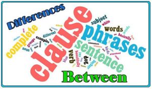 Differences Between Clauses And Phrases 