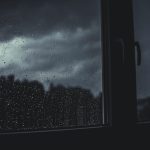 Feelings