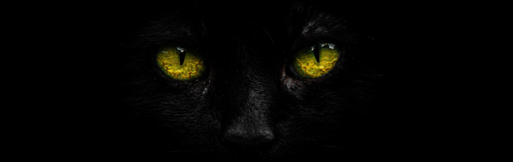 yellow eyes